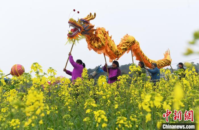 二月二，龍?zhí)ь^！