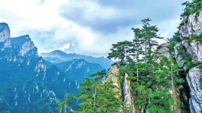 免票、半價(jià)、限時(shí)特惠……3·8女神“價(jià)”到，來(lái)河南這些景區(qū)“約惠”吧