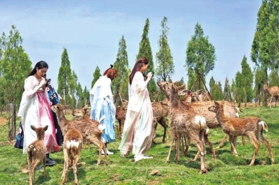 免票、半價(jià)、限時(shí)特惠……3·8女神“價(jià)”到，來(lái)河南這些景區(qū)“約惠”吧