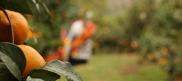 微視頻|永恒的名字