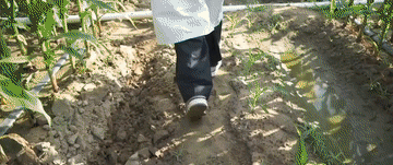 微視頻｜穿越時空的榜樣力量