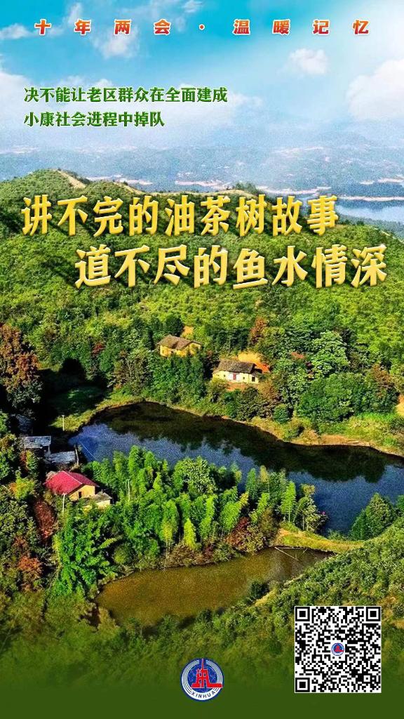 重溫十年全國兩會上的這些溫暖記憶！