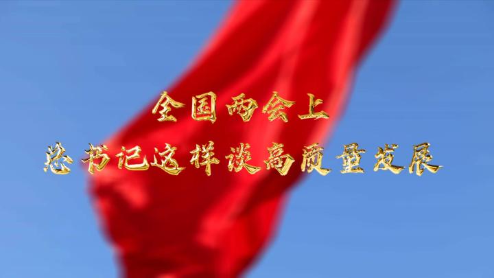  全國兩會上，總書記這樣談高質(zhì)量發(fā)展