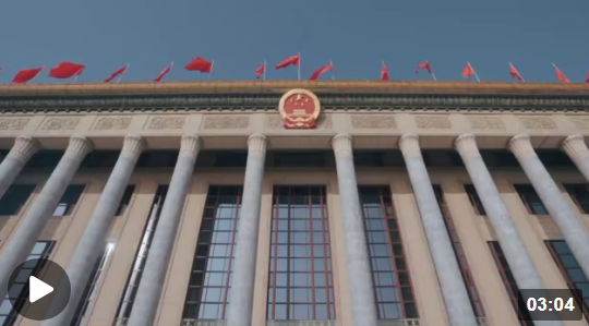 時(shí)政微紀(jì)錄丨憲法宣誓！鄭重的誓言 人民的選擇