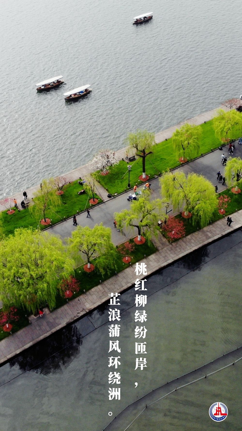 新華全媒+丨植樹傳統(tǒng)，從古詩(shī)中走來