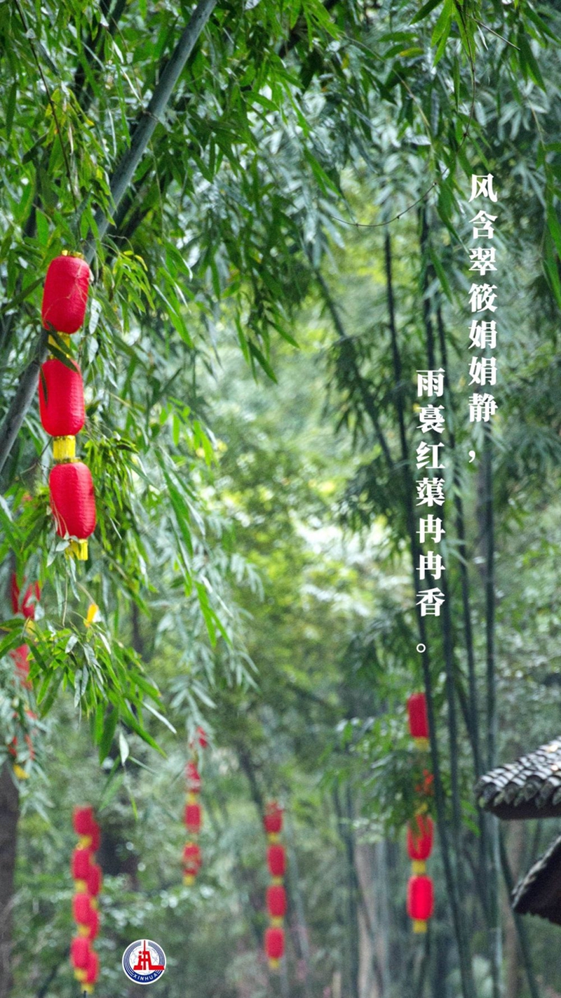 新華全媒+丨植樹傳統(tǒng)，從古詩(shī)中走來