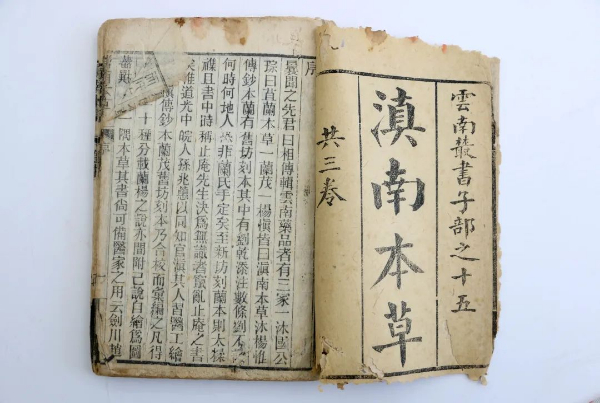 國博閃“藥”，探秘昆中藥瑰寶 | 滇南本草