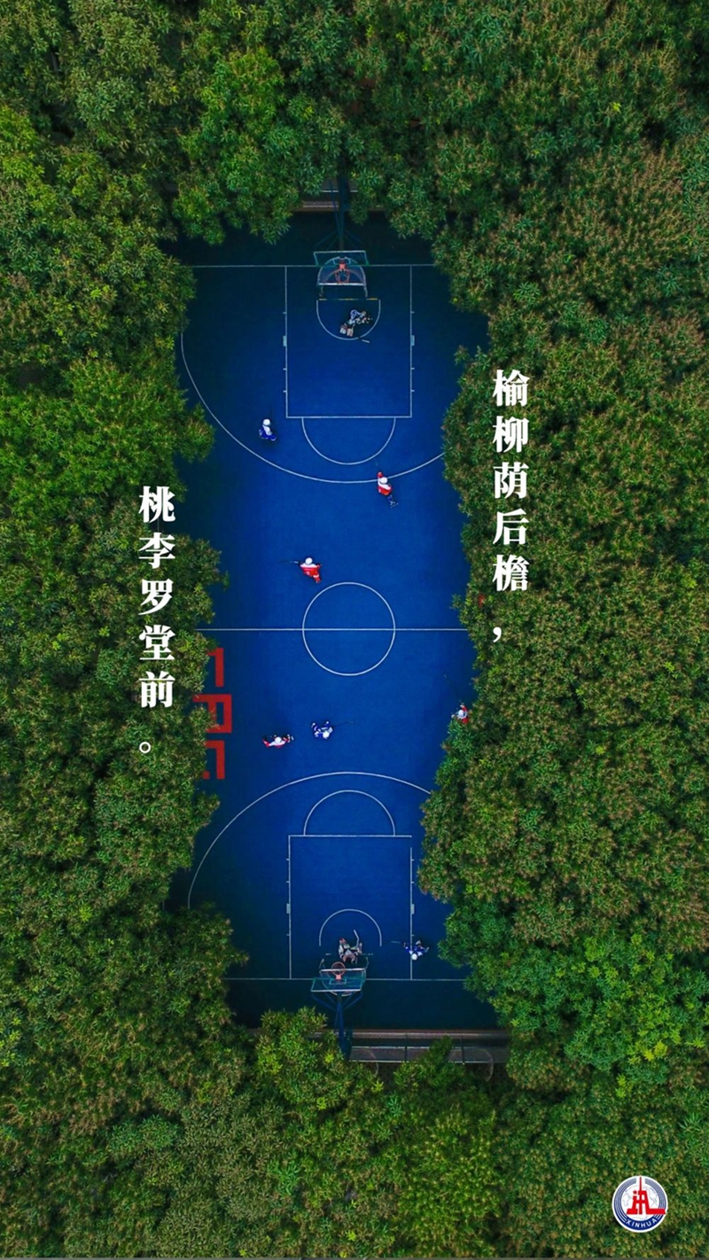 新華全媒+丨植樹傳統(tǒng)，從古詩(shī)中走來