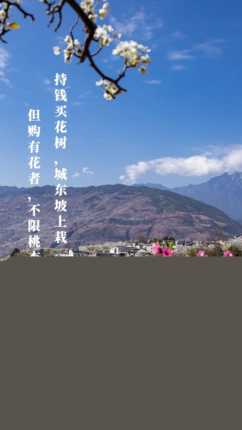 新華全媒+丨植樹傳統(tǒng)，從古詩(shī)中走來