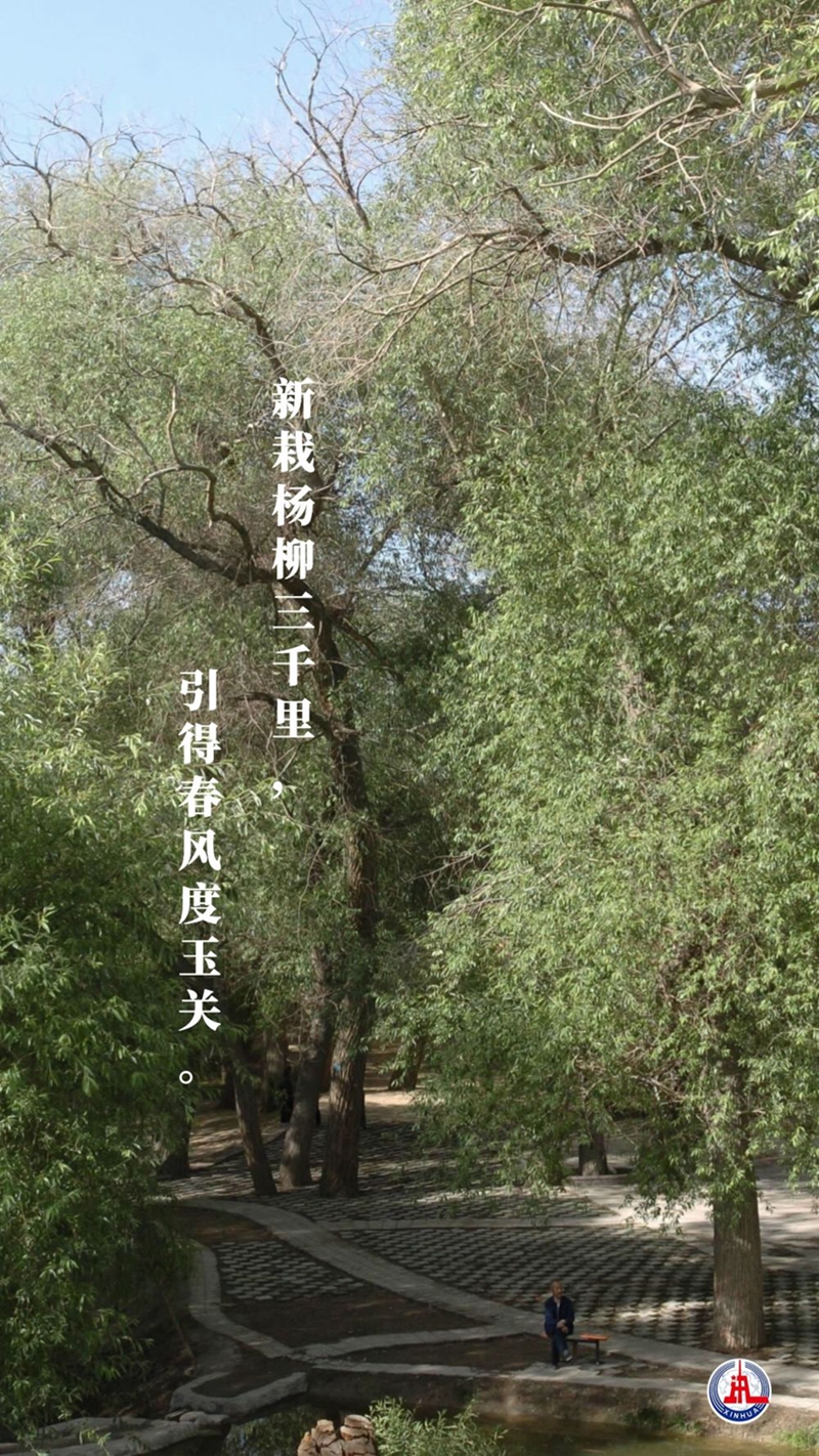 新華全媒+丨植樹傳統(tǒng)，從古詩(shī)中走來