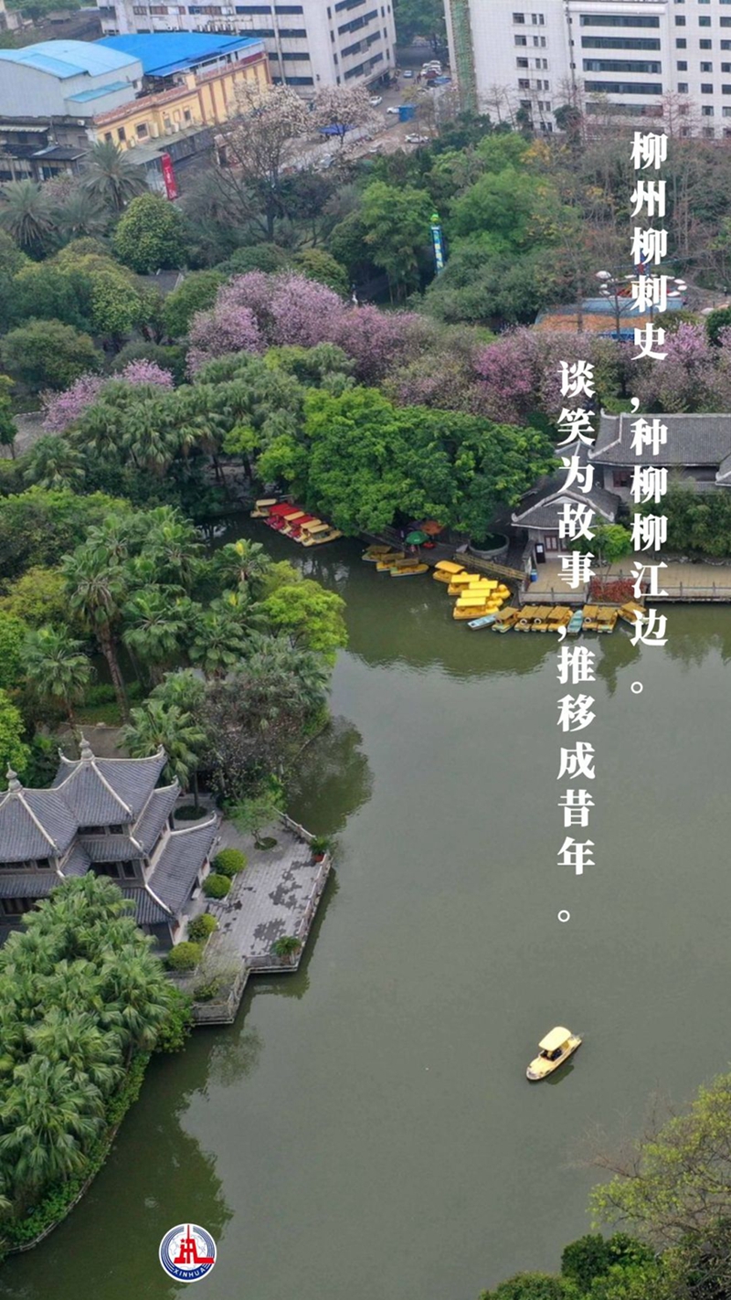 新華全媒+丨植樹傳統(tǒng)，從古詩(shī)中走來