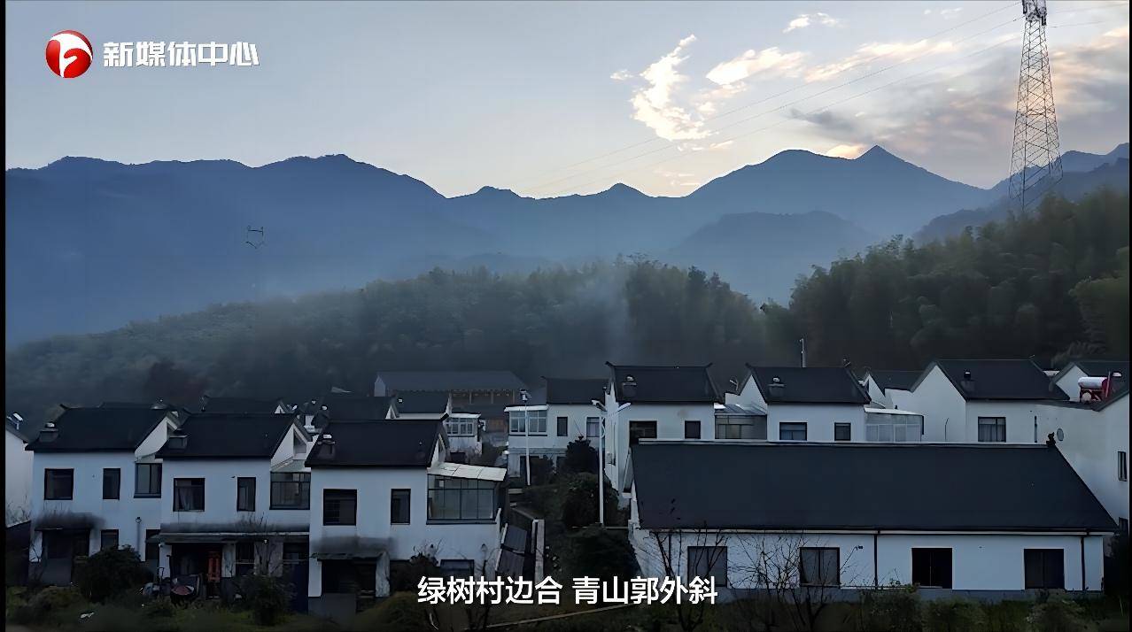  “請總書記放心，我們一定會把大灣村建設(shè)得更美更好”