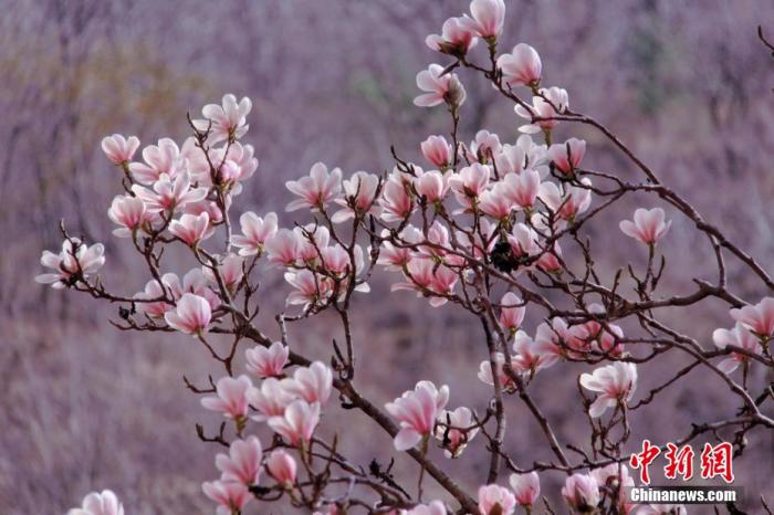 別再光說happy birthday了，學(xué)學(xué)古人如何祝壽唄！