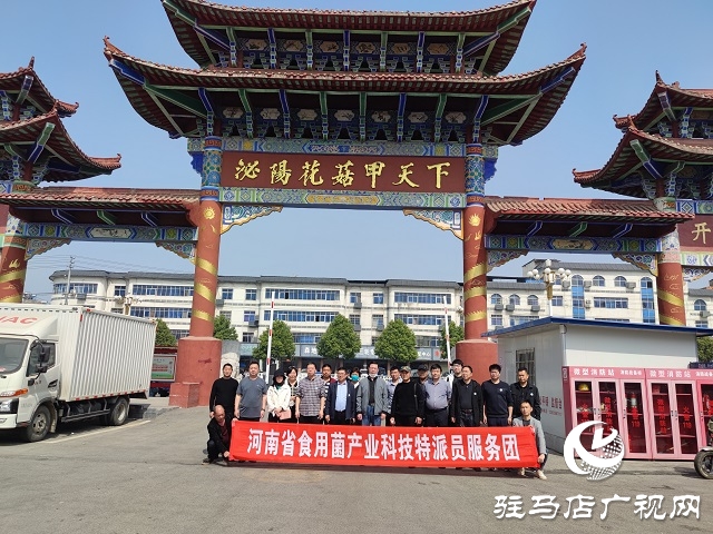 以“菇”會友 舞陽縣食用菌協(xié)會深入泌陽縣菌菇基地觀摩學習