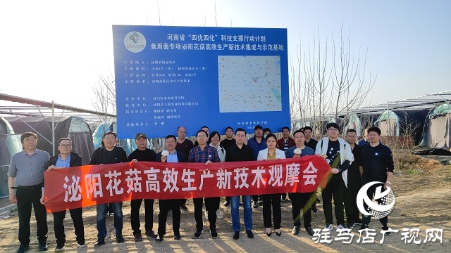 以“菇”會友 舞陽縣食用菌協(xié)會深入泌陽縣菌菇基地觀摩學習