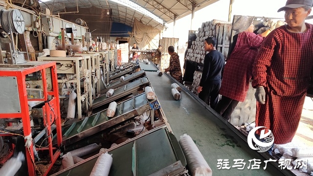 以“菇”會友 舞陽縣食用菌協(xié)會深入泌陽縣菌菇基地觀摩學習