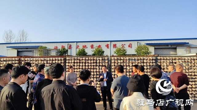 以“菇”會友 舞陽縣食用菌協(xié)會深入泌陽縣菌菇基地觀摩學習
