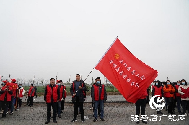 正陽(yáng)縣總工會(huì)開展義務(wù)植樹活動(dòng)