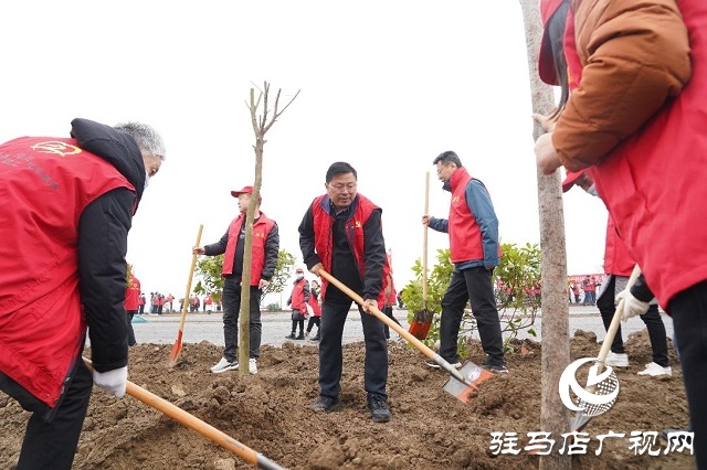 正陽(yáng)縣總工會(huì)開展義務(wù)植樹活動(dòng)