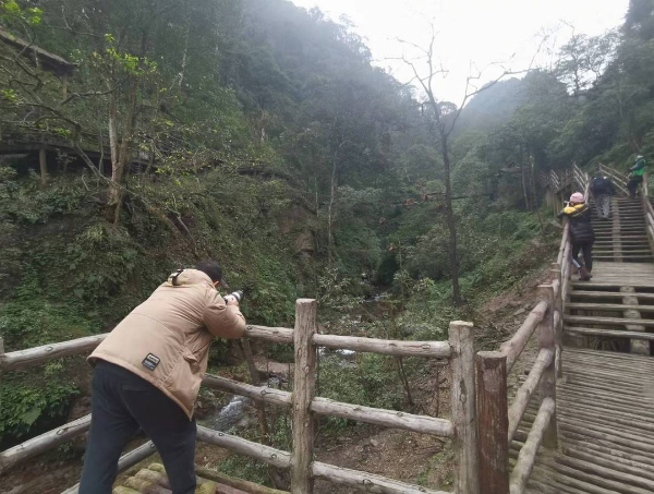峨眉山猴子被拘留？假的！峨眉山猴子是國家二級保護(hù)動物