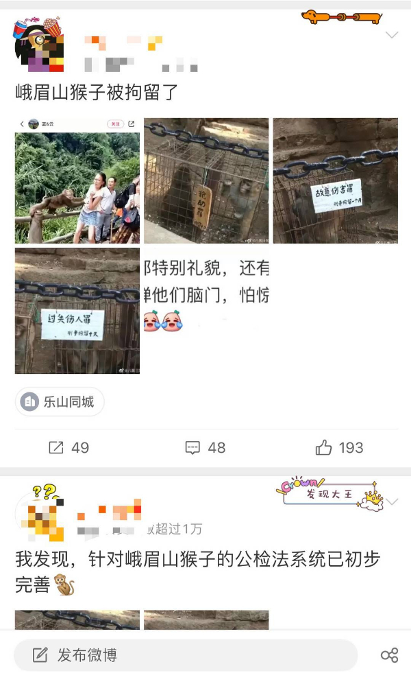 峨眉山猴子被拘留？假的！峨眉山猴子是國家二級保護(hù)動物
