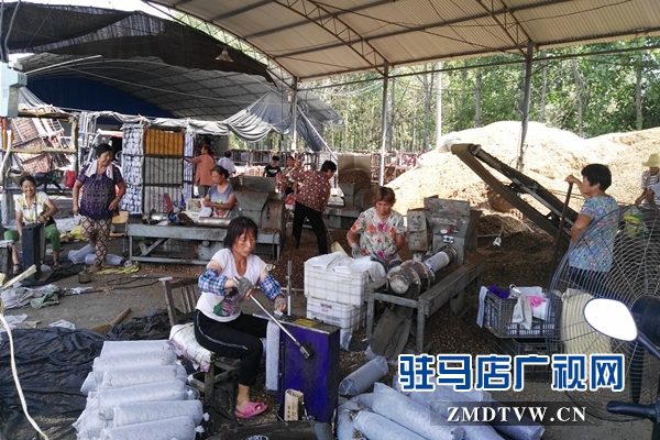 泌陽(yáng)：昔日貧困戶(hù)  今日韓國(guó)洋專(zhuān)家”