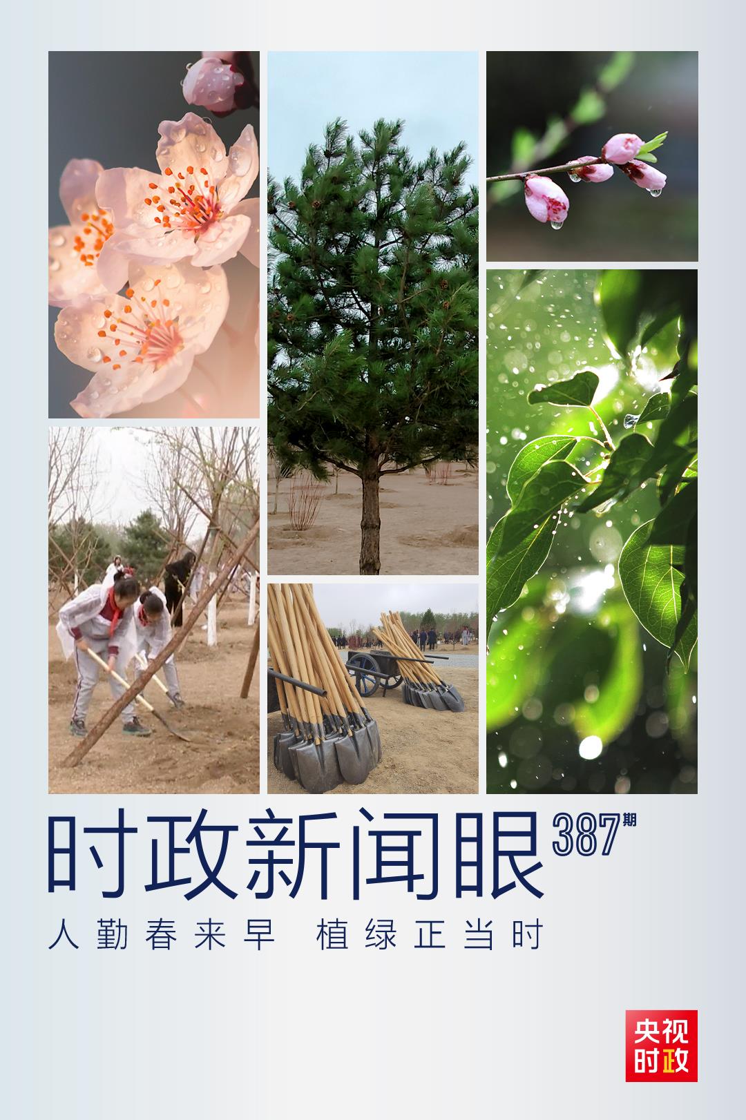 時(shí)政新聞眼丨在今年首都義務(wù)植樹(shù)現(xiàn)場(chǎng)，習(xí)近平這三句話飽含深意
