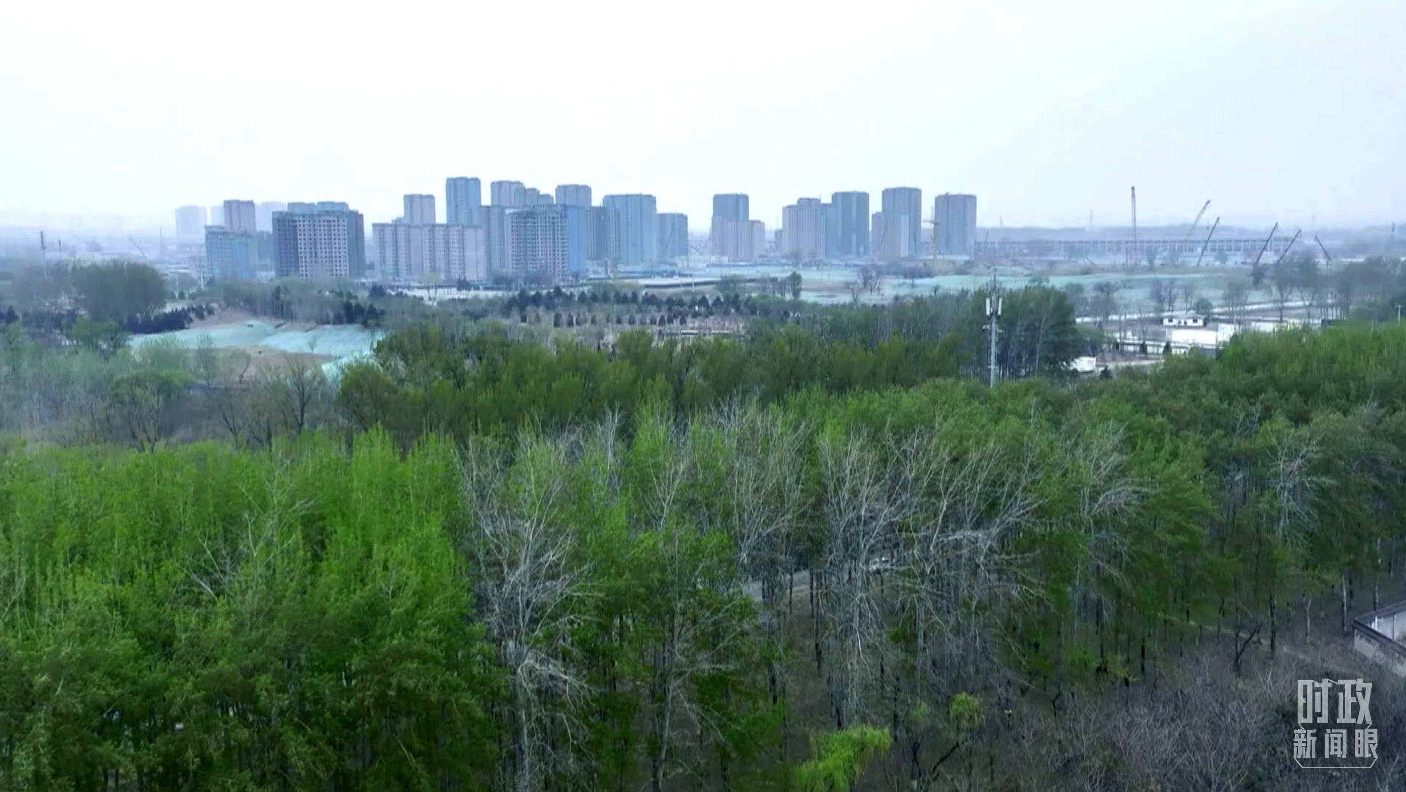 時(shí)政新聞眼丨在今年首都義務(wù)植樹(shù)現(xiàn)場(chǎng)，習(xí)近平這三句話飽含深意
