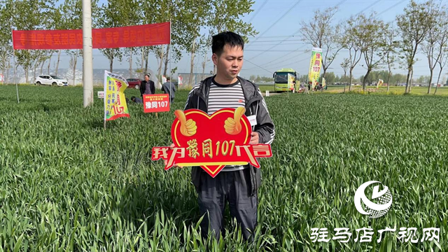 重磅！噸源種業(yè)再添強勢小麥品種，豫同107助農增產(chǎn)豐收！