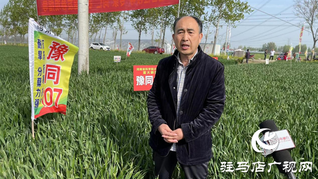 重磅！噸源種業(yè)再添強勢小麥品種，豫同107助農增產(chǎn)豐收！