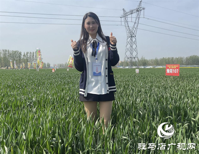 重磅！噸源種業(yè)再添強勢小麥品種，豫同107助農增產(chǎn)豐收！
