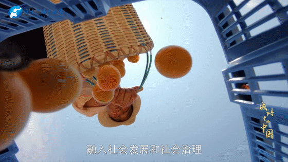 《成語里的中國》:為政以德