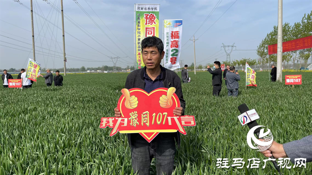 重磅！噸源種業(yè)再添強勢小麥品種，豫同107助農增產(chǎn)豐收！