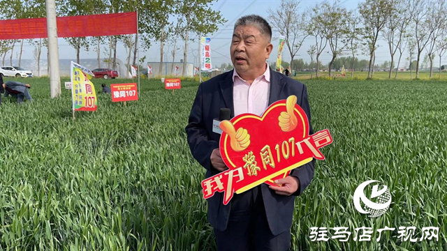 重磅！噸源種業(yè)再添強勢小麥品種，豫同107助農增產(chǎn)豐收！