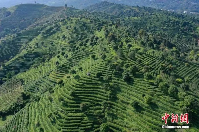 4月13日起，坐著動車去老撾！