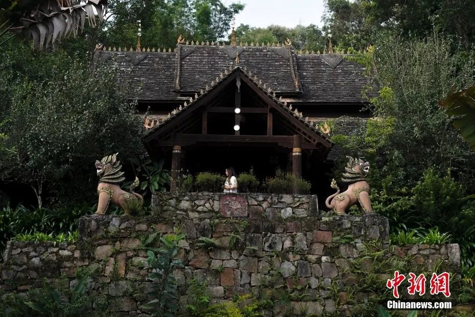 4月13日起，坐著動車去老撾！