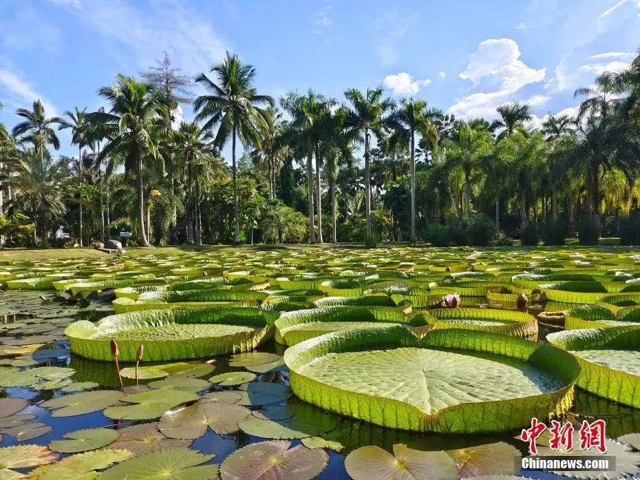 4月13日起，坐著動車去老撾！