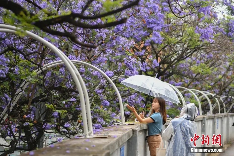 4月13日起，坐著動車去老撾！