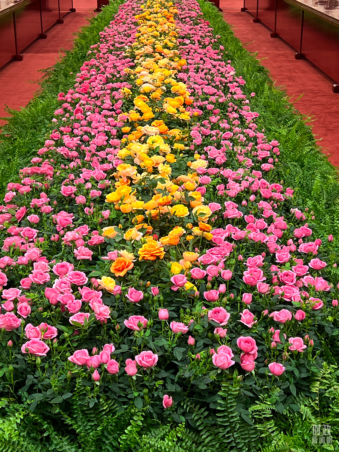 時政新聞眼丨中國巴西元首會晤，這樣開辟新時代中巴關(guān)系新未來
