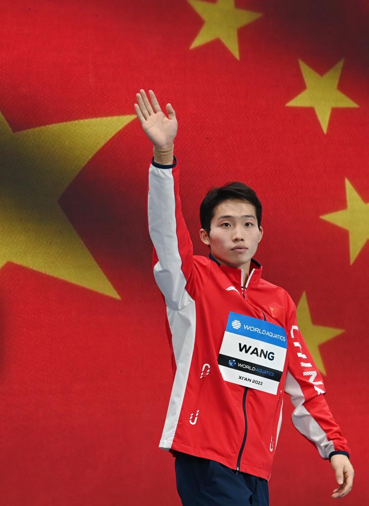 跳水世界杯:中國隊(duì)次日再添兩金一銀