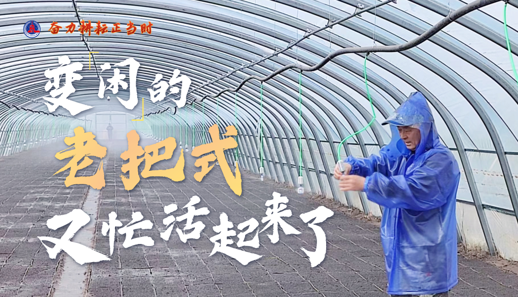 奮力耕耘正當時&mdash;&mdash;農(nóng)業(yè)強國建設一線的四個故事