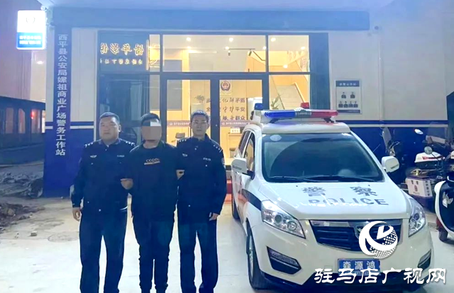 十小時(shí)！西平警方破獲系列盜竊沿街門店案件