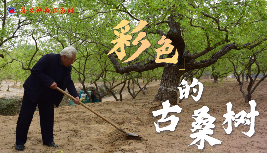 奮力耕耘正當(dāng)時(shí)——農(nóng)業(yè)強(qiáng)國(guó)建設(shè)一線(xiàn)的四個(gè)故事