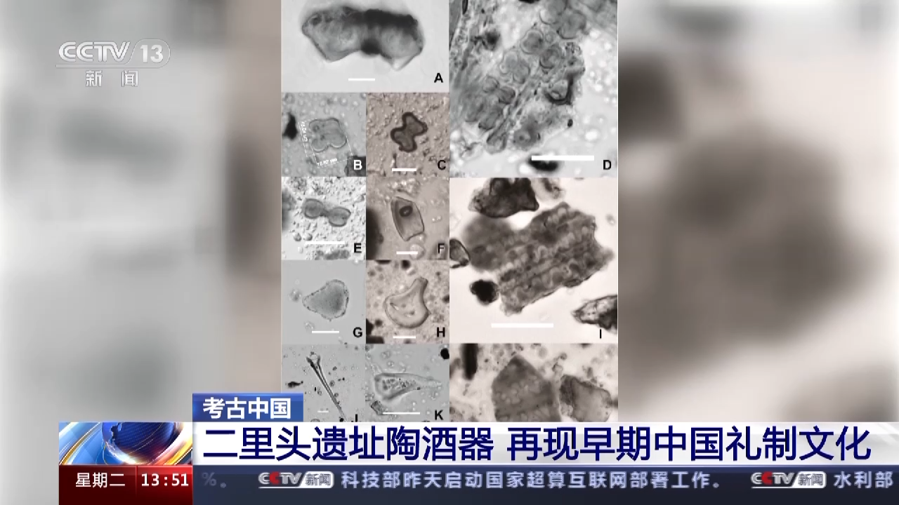 央媒觀豫 | 大口尊、高領(lǐng)尊、鬶……二里頭時(shí)期的這些陶酒器有啥講究？