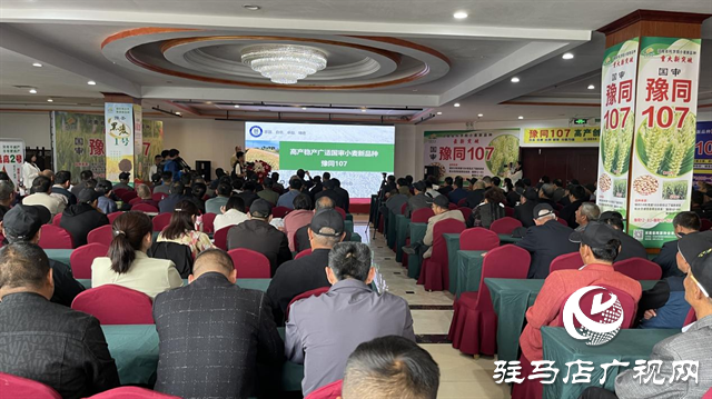 引領(lǐng)小麥新方向！噸源種業(yè)2023年豫同107觀摩會隆重召開