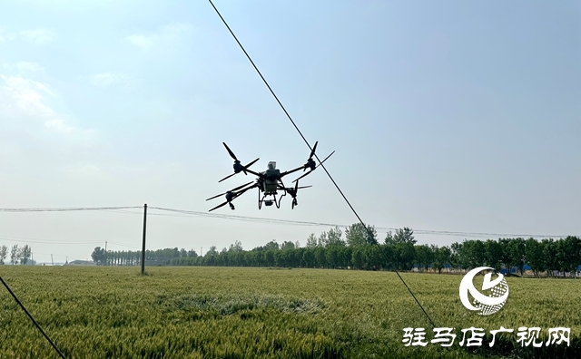 泌陽縣郭集鎮(zhèn)：利用無人機噴藥打牢夏糧豐產(chǎn)基礎