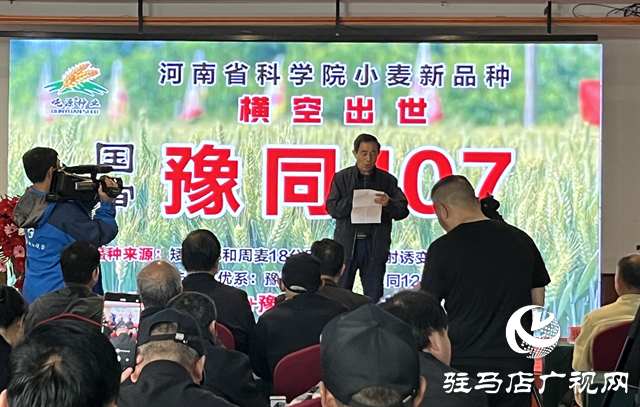 引領(lǐng)小麥新方向！噸源種業(yè)2023年豫同107觀摩會隆重召開