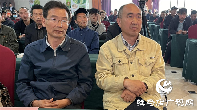 引領(lǐng)小麥新方向！噸源種業(yè)2023年豫同107觀摩會隆重召開