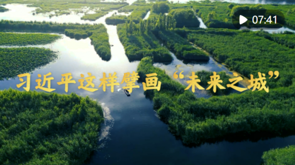 習(xí)近平總書記指引雄安新區(qū)規(guī)劃建設(shè)的故事