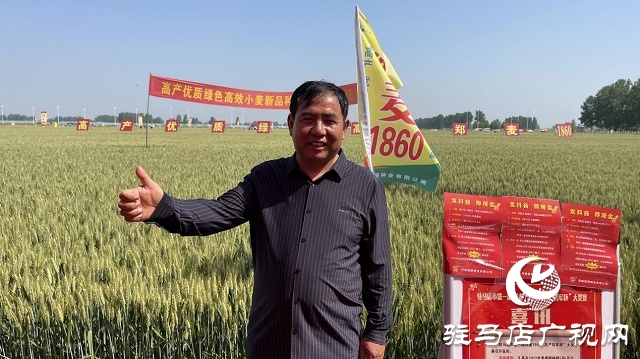 2023年“鄭麥1860”小麥現(xiàn)場(chǎng)觀摩會(huì)在駐馬店成功召開